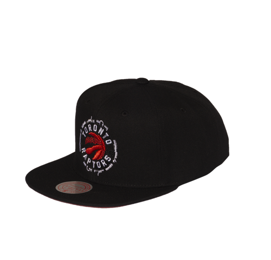 Men's Mitchell & Ness Black Toronto Raptors Embroidery Glitch Snapback Hat