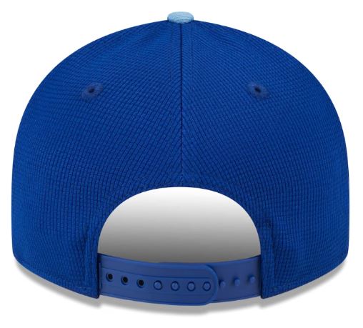 Men's New Era MLB Toronto Blue Jays White/Powder Blue 2024 Spring Training Low Profile 9FIFTY Snapback Hat