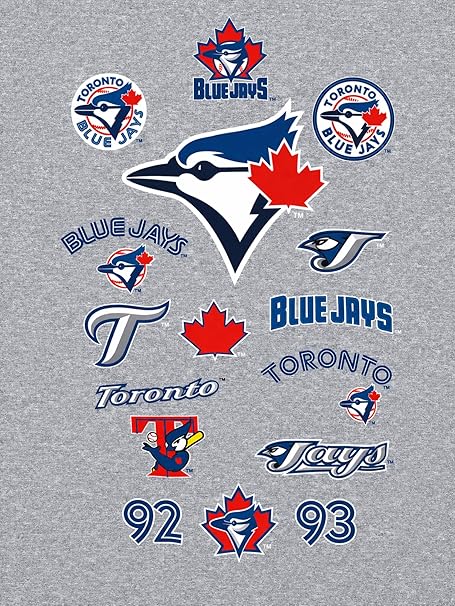 Nike MLB Toronto Blue Jays 50 Seasons Anniversary Ballpark Legend Graphic Pullover Hoodie - Grey