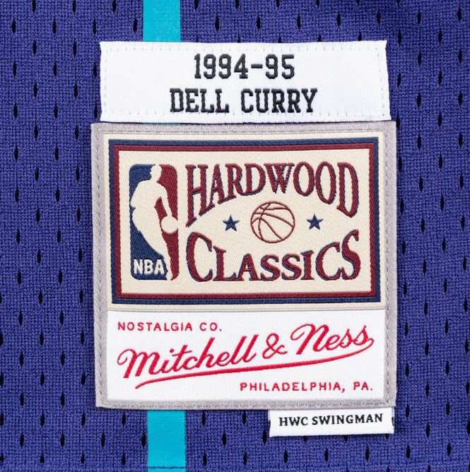 Mitchell & Ness Men's NBA Charlotte Hornets Dell Curry 1994-95 Hardwood Classics Swingman Jersey - Purple