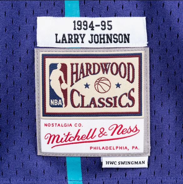Mitchell & Ness Men's NBA Charlotte Hornets Larry Johnson 1994-95 Hardwood Classics Swingman Jersey - Purple