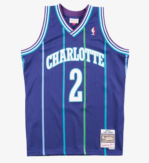 Mitchell & Ness Men's NBA Charlotte Hornets Larry Johnson 1994-95 Hardwood Classics Swingman Jersey - Purple
