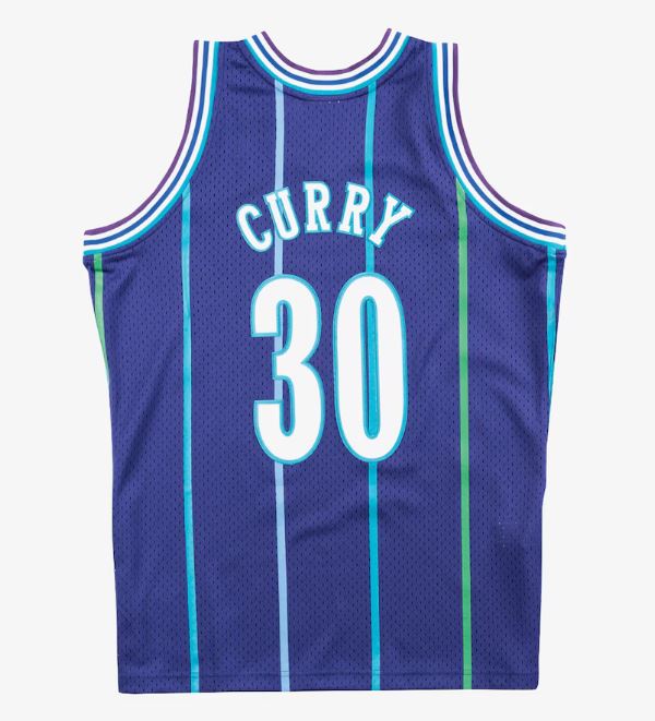 Mitchell & Ness Men's NBA Charlotte Hornets Dell Curry 1994-95 Hardwood Classics Swingman Jersey - Purple