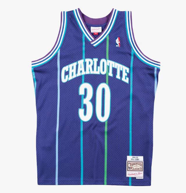 Mitchell & Ness Men's NBA Charlotte Hornets Dell Curry 1994-95 Hardwood Classics Swingman Jersey - Purple