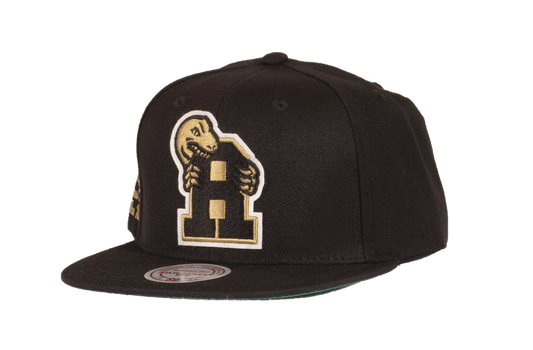 Men's Mitchell & Ness Toronto Raptors Black & Gold Graduation Snapback