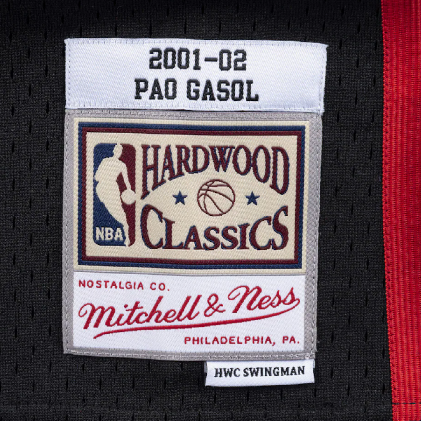 Men's Mitchell & Ness NBA Pau Gasol Memphis Grizzlies 2001/02 Hardwood Classics Swingman Jersey - Black