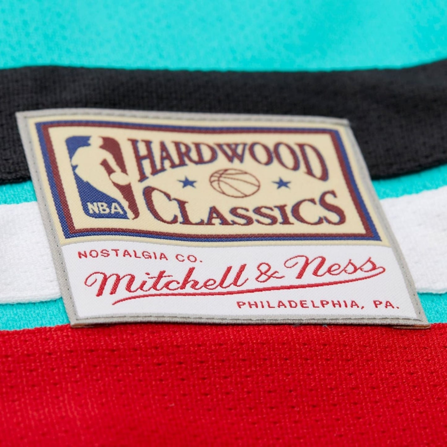 Mitchell & Ness Vancouver Grizzlies Mike Bibby #10 Maxxed Out Fashion Hockey Jersey - Turquoise