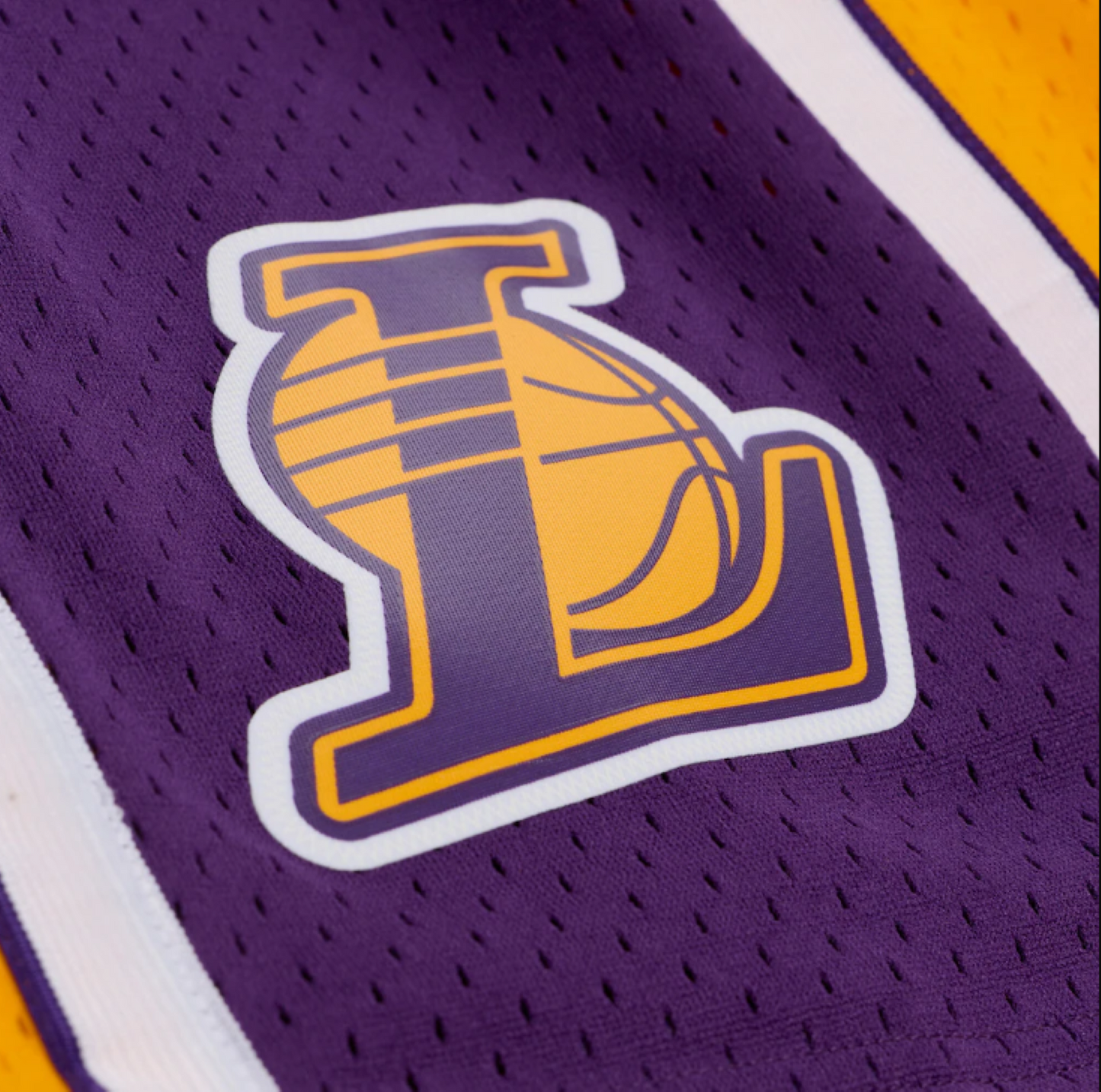 Men's Mitchell & Ness Los Angeles Lakers 2009/10 Hardwood Classics Swingman Shorts - Yellow/Purple