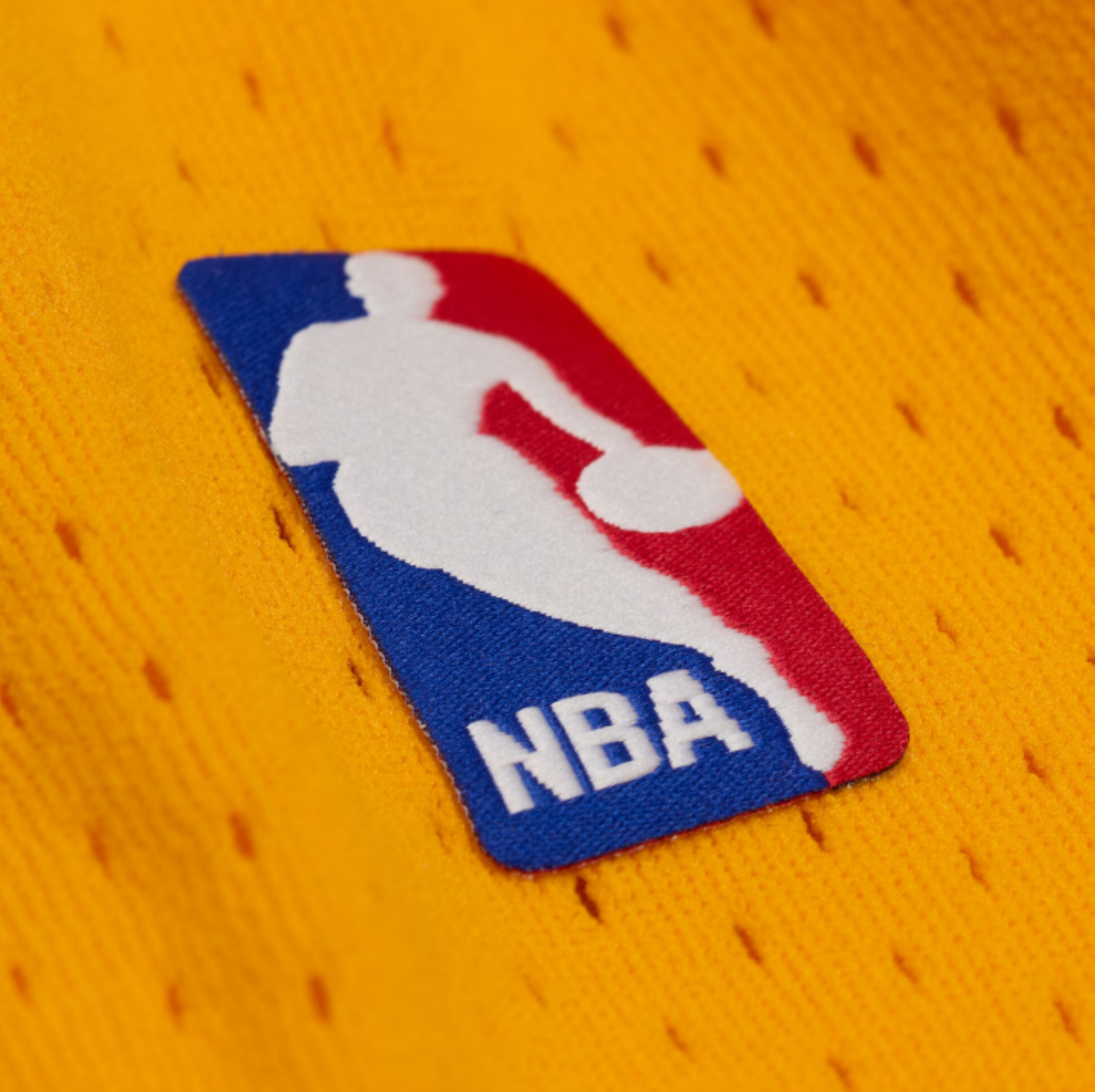 Men's Mitchell & Ness Los Angeles Lakers 2009/10 Hardwood Classics Swingman Shorts - Yellow/Purple