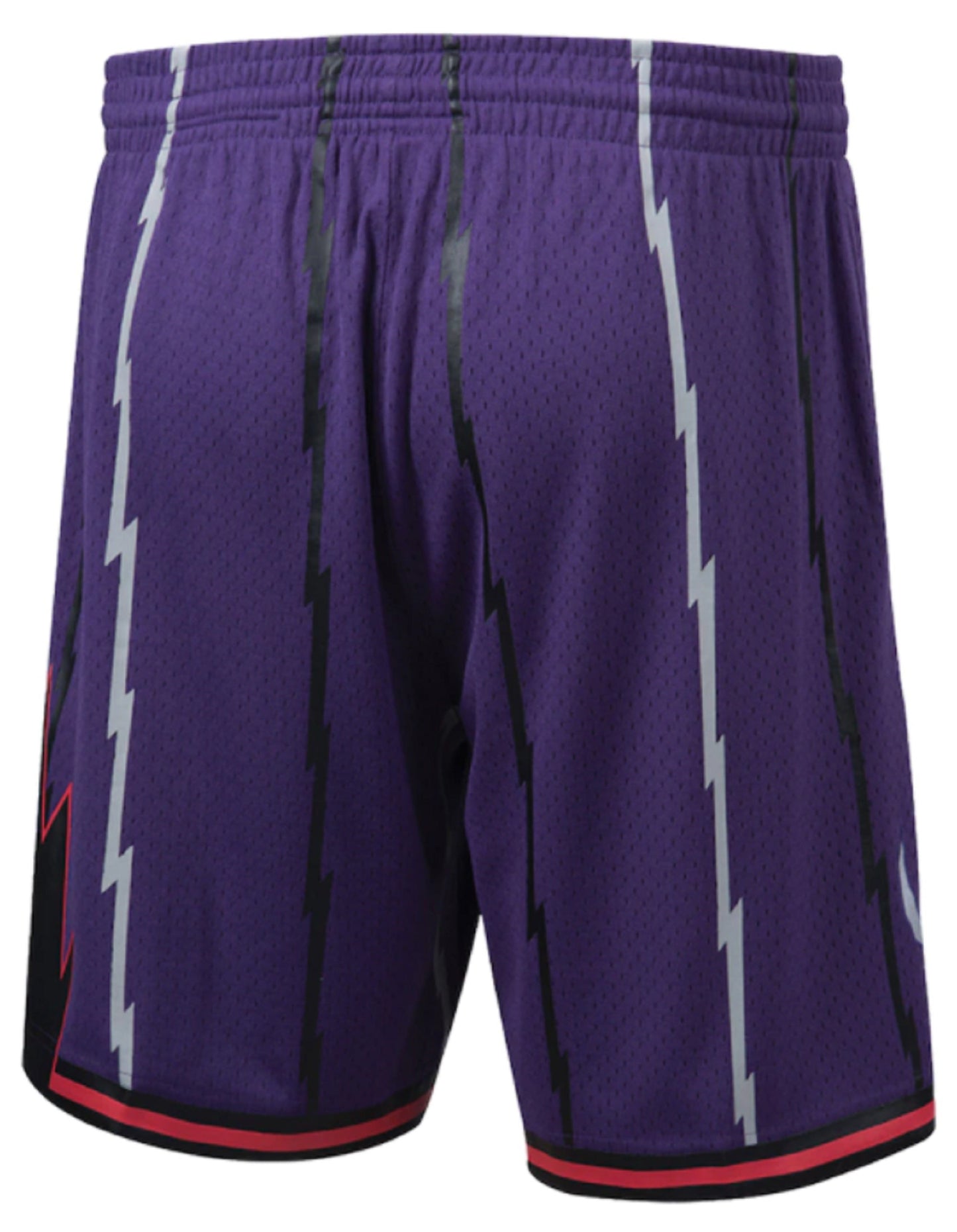 Toronto Raptors Mitchell & Ness 1998 Hardwood Classics Swingman - Shorts - Purple