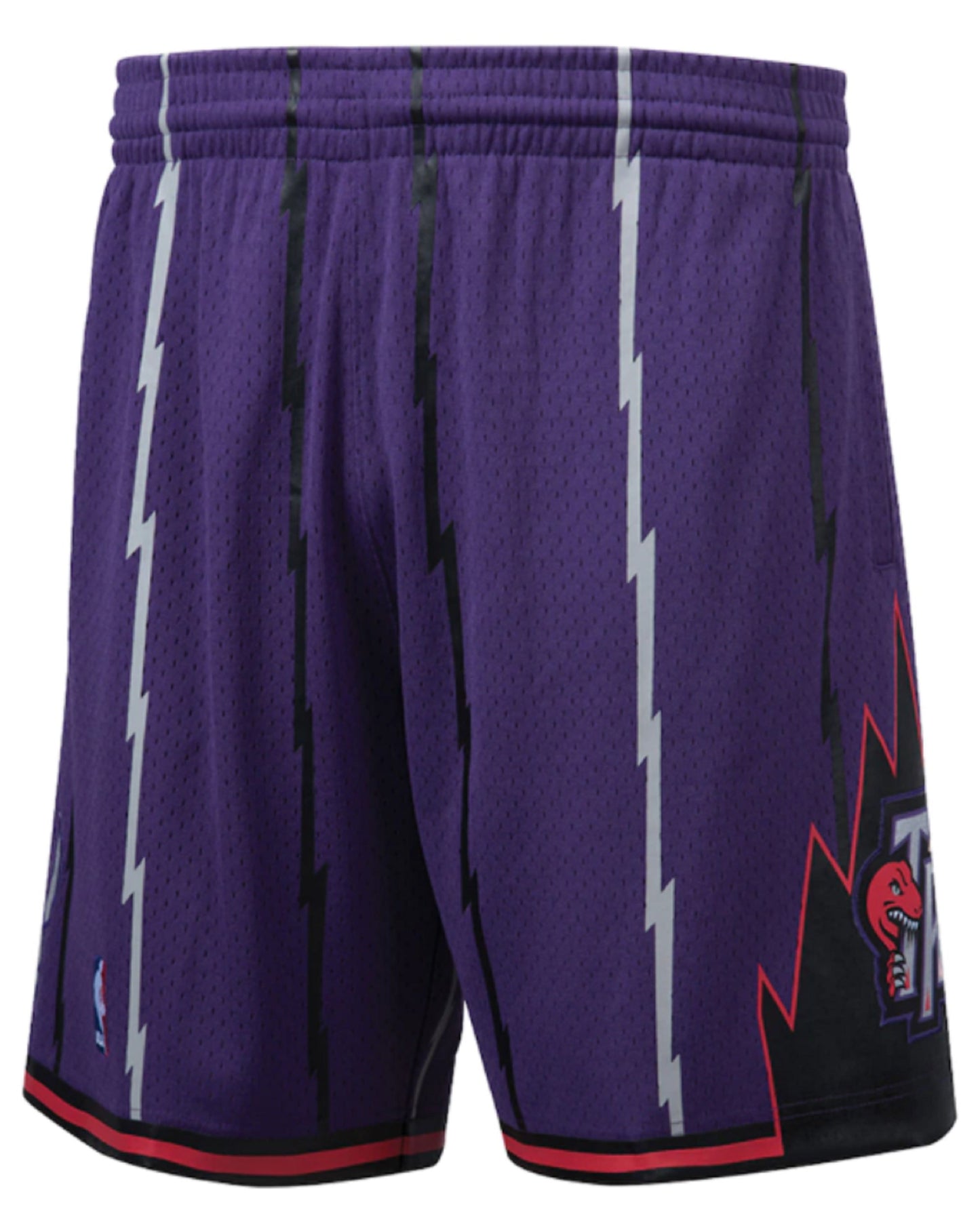 Toronto Raptors Mitchell & Ness 1998 Hardwood Classics Swingman - Shorts - Purple