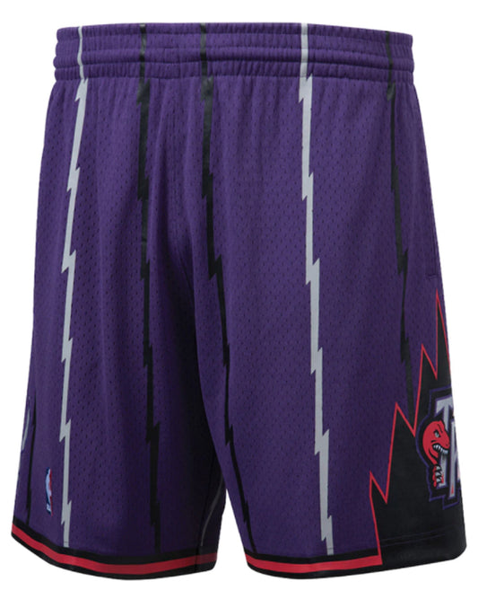Toronto Raptors Mitchell & Ness 1998 Hardwood Classics Swingman - Shorts - Purple