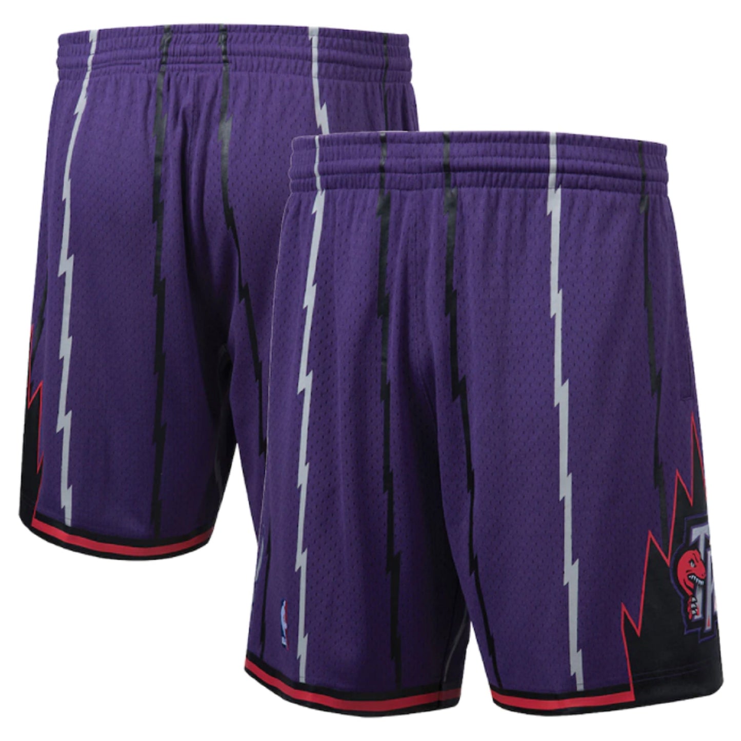 Toronto Raptors Mitchell & Ness 1998 Hardwood Classics Swingman - Shorts - Purple