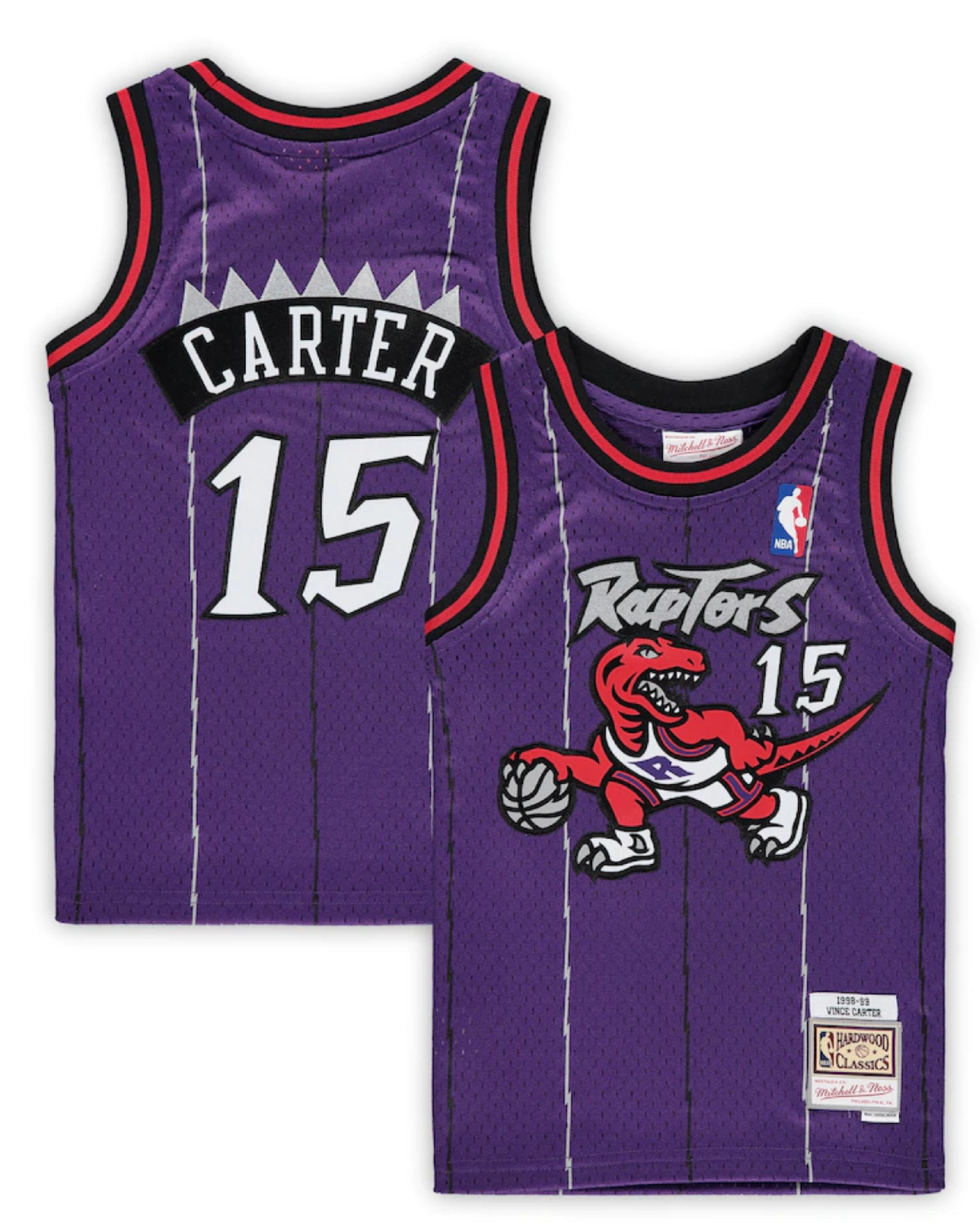 Men's Toronto Raptors Vince Carter #15 Purple Mitchell & Ness Swingman Jersey