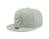 Men's New Era Green Toronto Raptors Color Pack 9FIFTY Snapback Hat