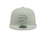 Men's New Era Green Toronto Raptors Color Pack 9FIFTY Snapback Hat