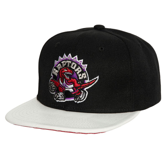 Toronto Raptors Mitchell & Ness Hardwood Classics SSBSTS Snapback Cap