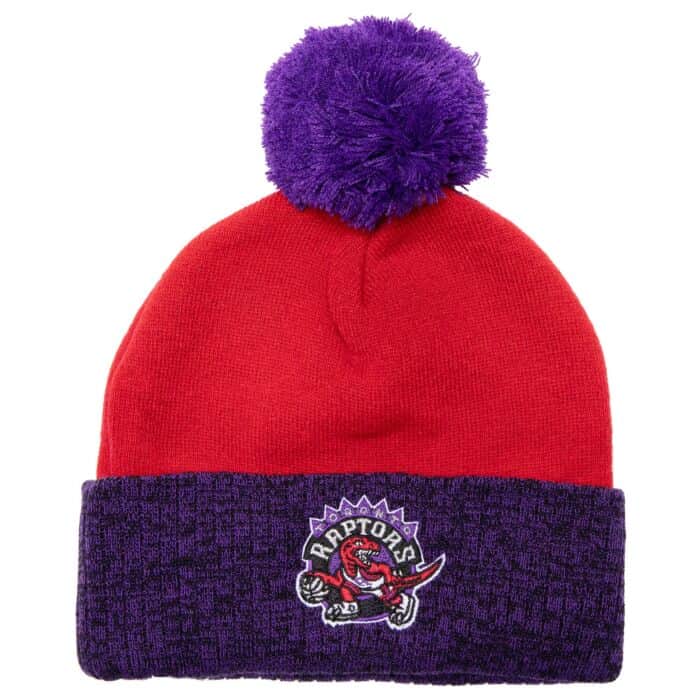 Toronto Raptors Mitchell & Ness Hardwood Classics Two-Tone Cuffed Pom Knit Hat