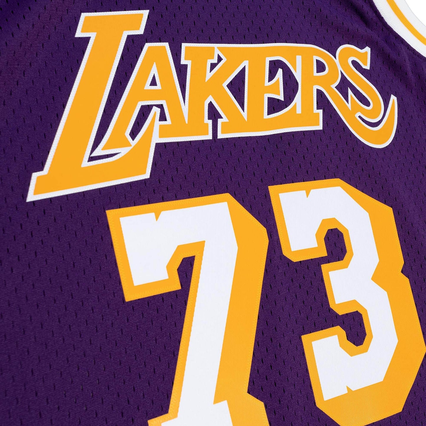 Men's Mitchell & Ness NBA Dennis Rodman Los Angeles Lakers 1998/99 Hardwood Classics Swingman Jersey - Purple