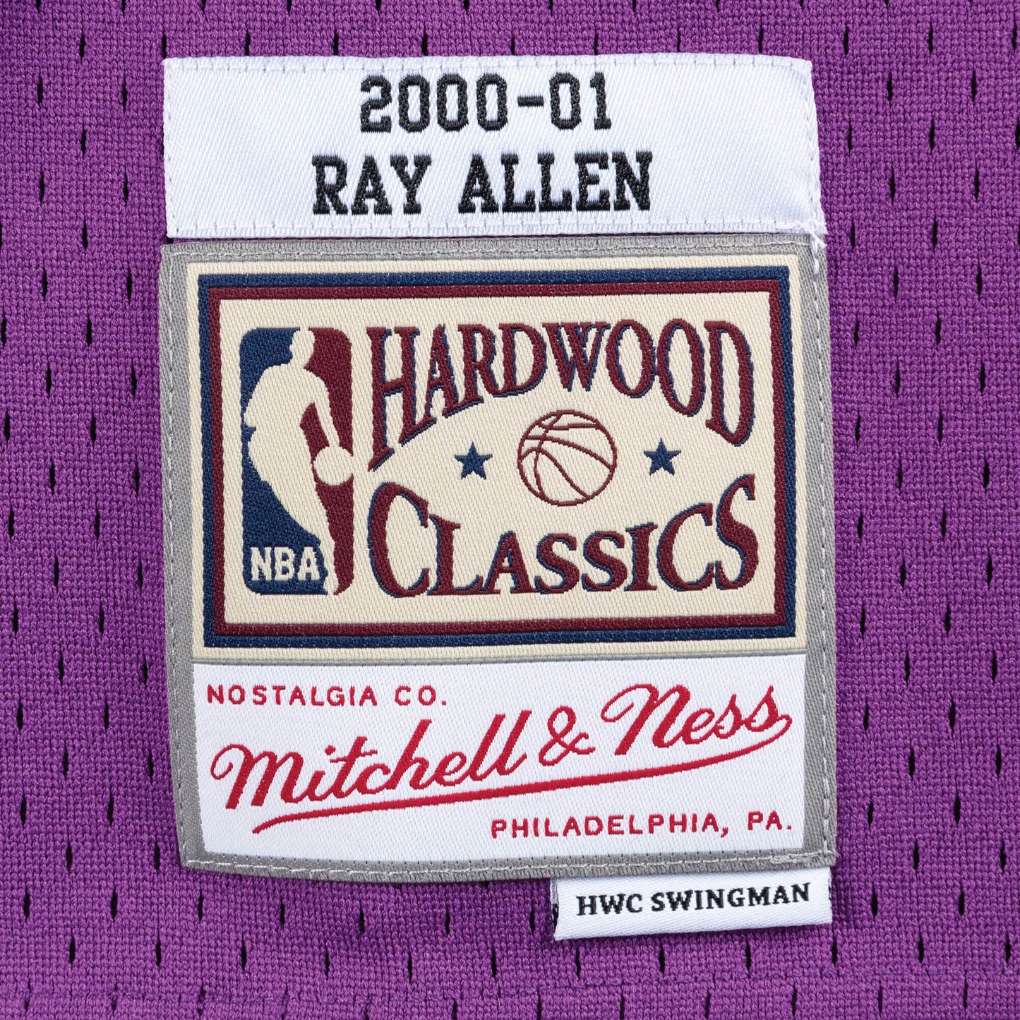 Ray Allen #34 Milwaukee Bucks Mitchell & Ness 2000-01 Swingman Jersey - Purple